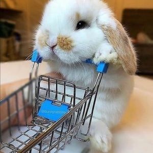 Meet your Posher, Patty